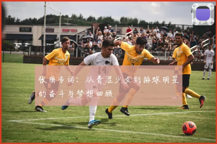张丽专访：从青涩少女到排球明星的奋斗与梦想回顾