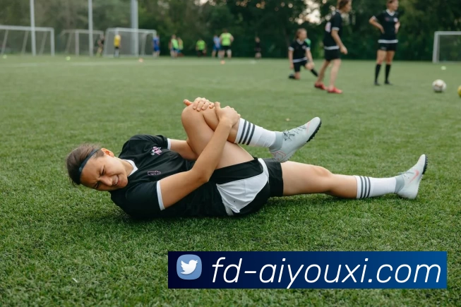 爱游戏平台生态图